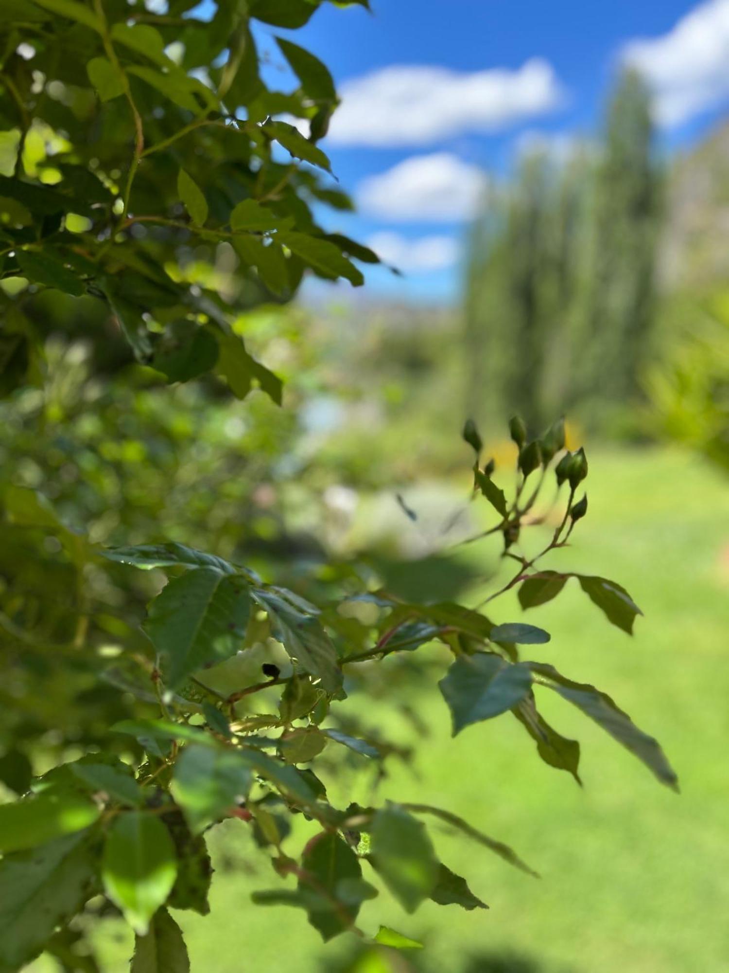 The Canyons B&B Queenstown Bagian luar foto
